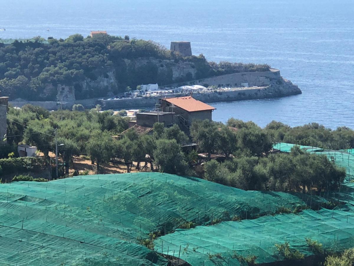 Hotel Dania Sorrento Eksteriør bilde