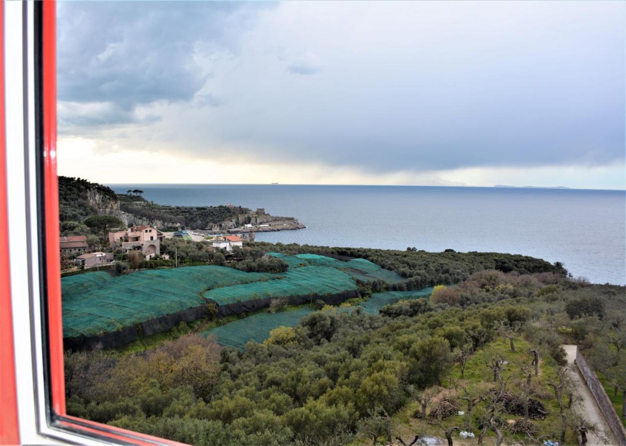Hotel Dania Sorrento Eksteriør bilde