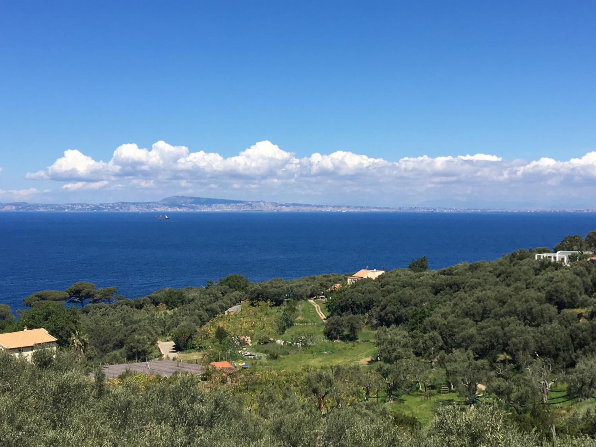 Hotel Dania Sorrento Eksteriør bilde