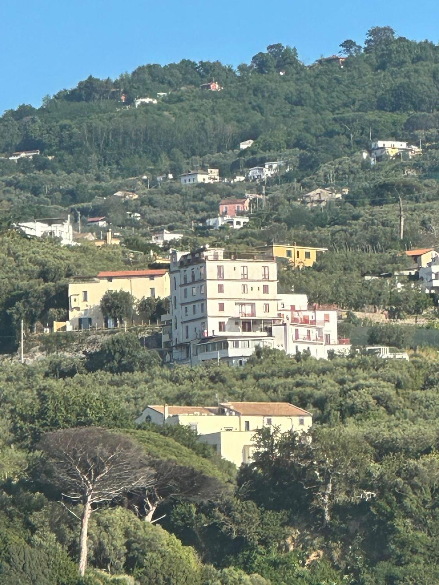 Hotel Dania Sorrento Eksteriør bilde