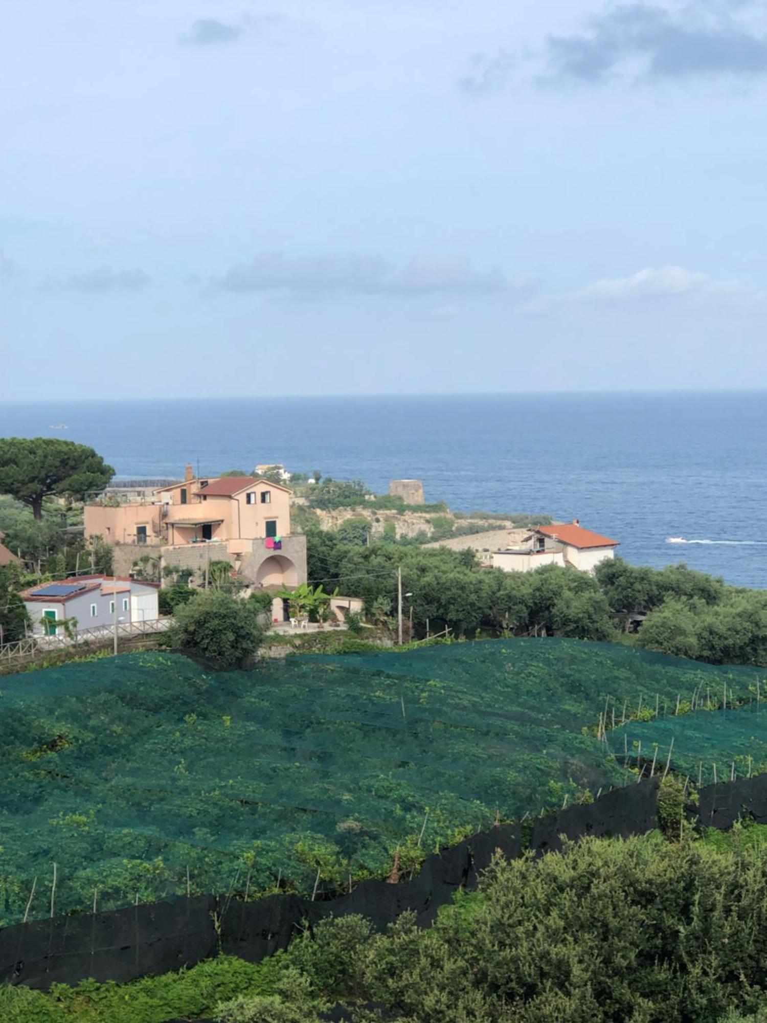 Hotel Dania Sorrento Eksteriør bilde